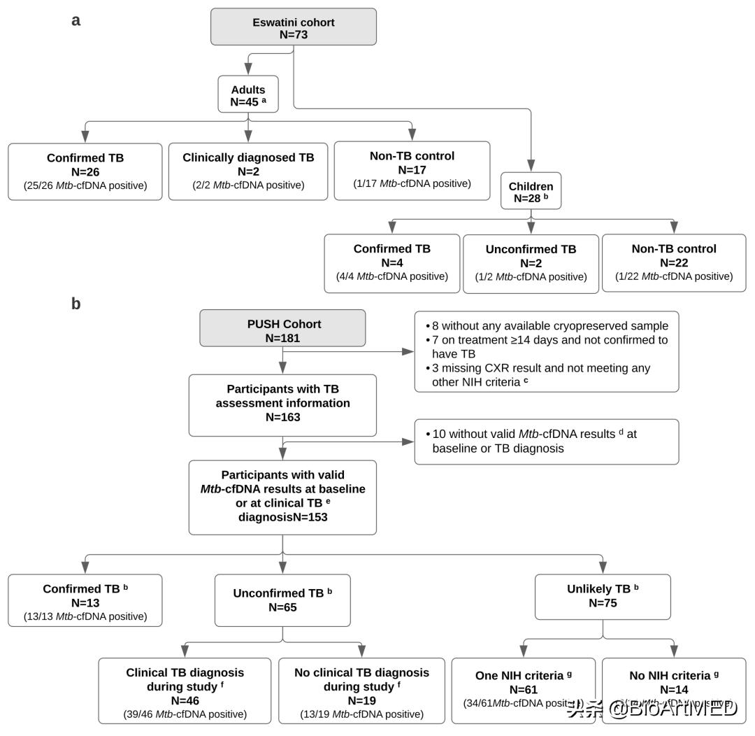 crispr诊断技术综述,crispr检测是什么