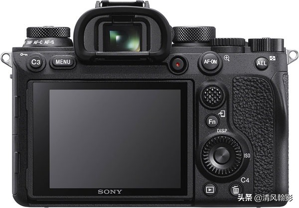 拍鸟买尼康z6还是z7,索尼a92代拍鸟怎么样