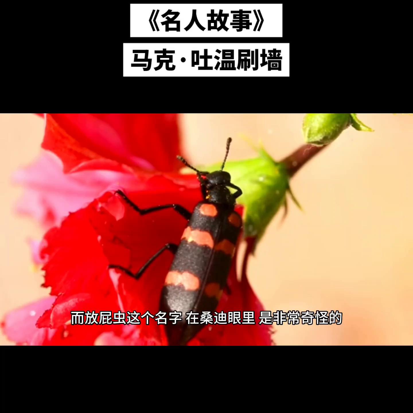 马克吐温刷墙的短文答案,马克吐温刷墙那段是真实的吗