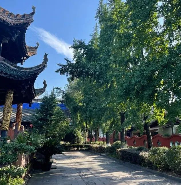 成都去北海自驾旅游攻略及花费,成都重庆九寨沟旅游攻略自由行