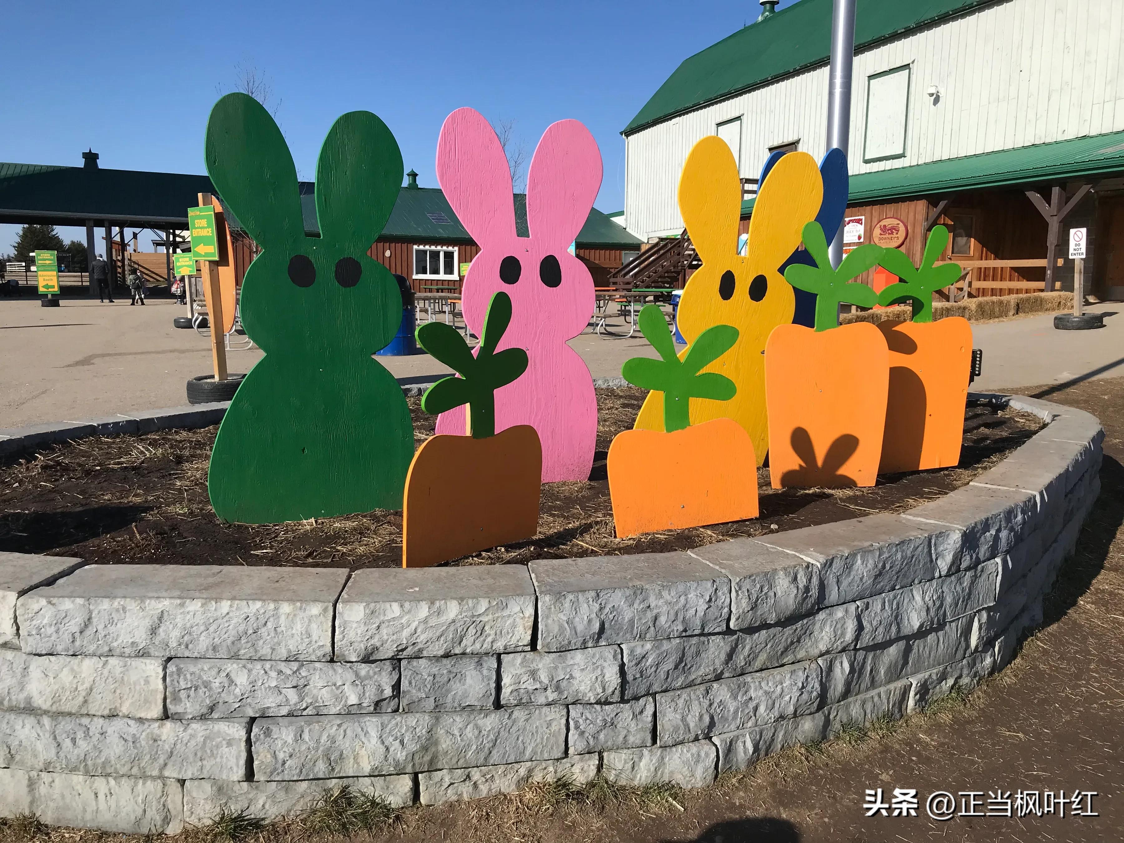 中国姥姥回国,中国姥姥真实一天视频