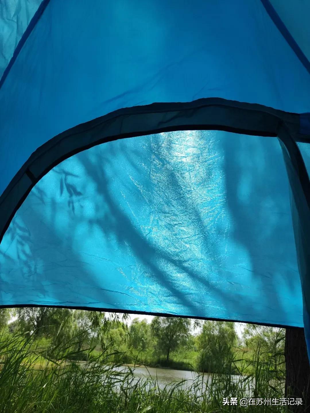 苏州太湖网红打卡地景点,苏州西山区附近网红打卡景点