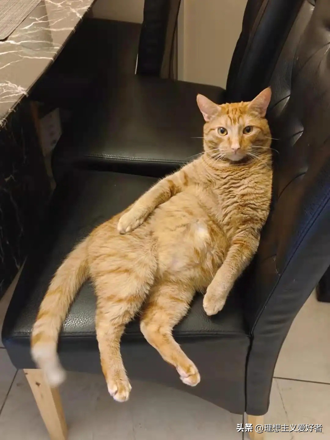 “葛优躺”侵权官司几乎全胜,葛优躺侵权律师解释