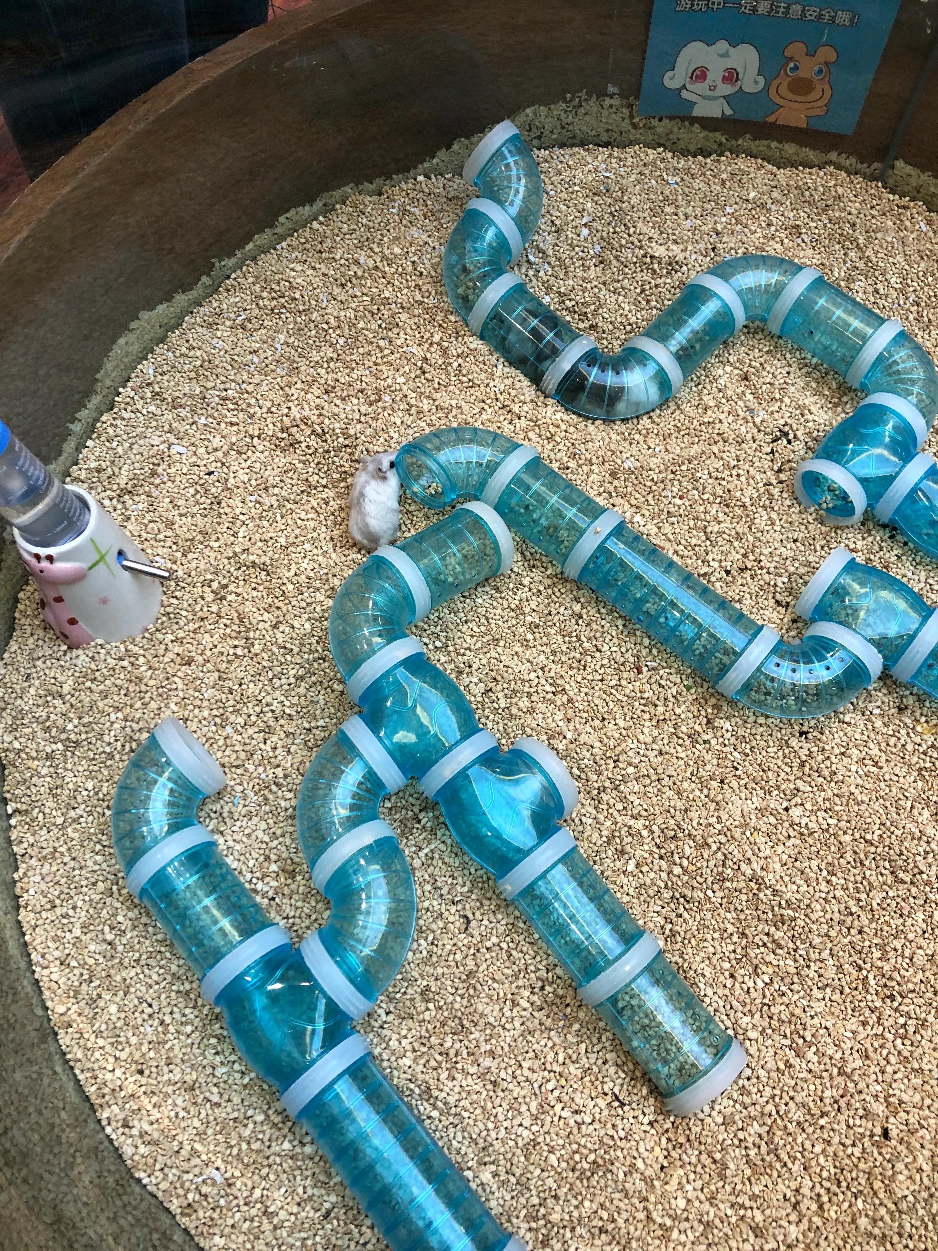 门头沟中骏世界城卡通尼Safari非洲探索乐园带闺女探店