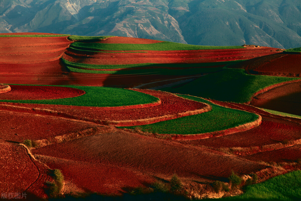 去云南昆明旅游攻略必去景点,云南的昆明旅游攻略必去景点顺序