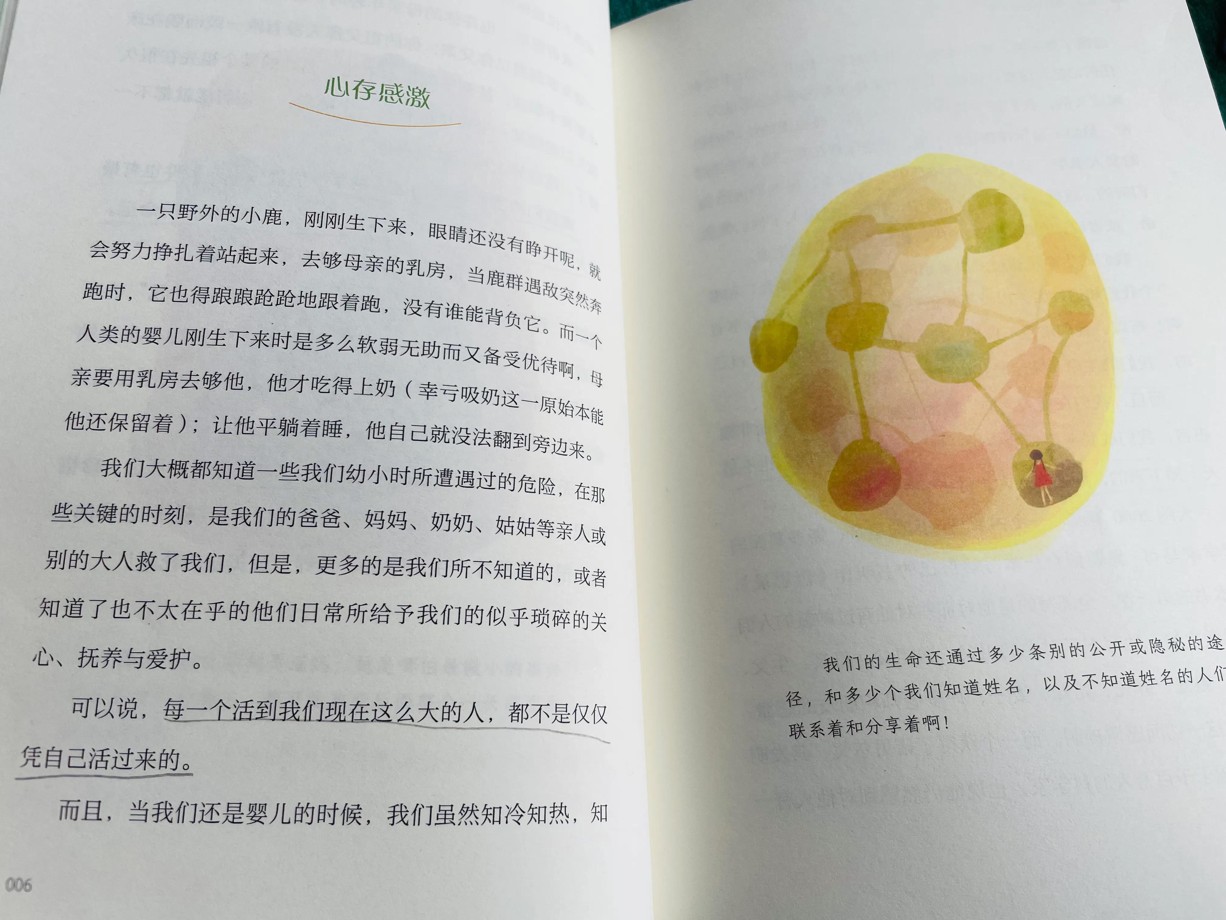 与青少年对话书籍,怎么跟小学生谈生命