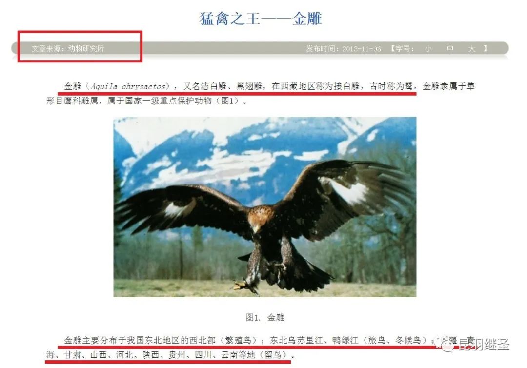 剥掉伪国学的画皮,扒一扒西方历史