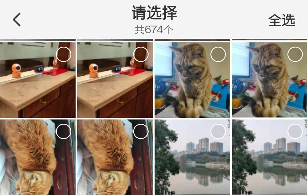 简单易用专治花里胡哨的NAS！小姐姐实测极空间新Z4！附微信备份