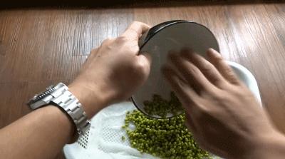 家庭阳台各种各样蔬菜种植视频,阳台种蔬菜需要加微生物有机肥吗