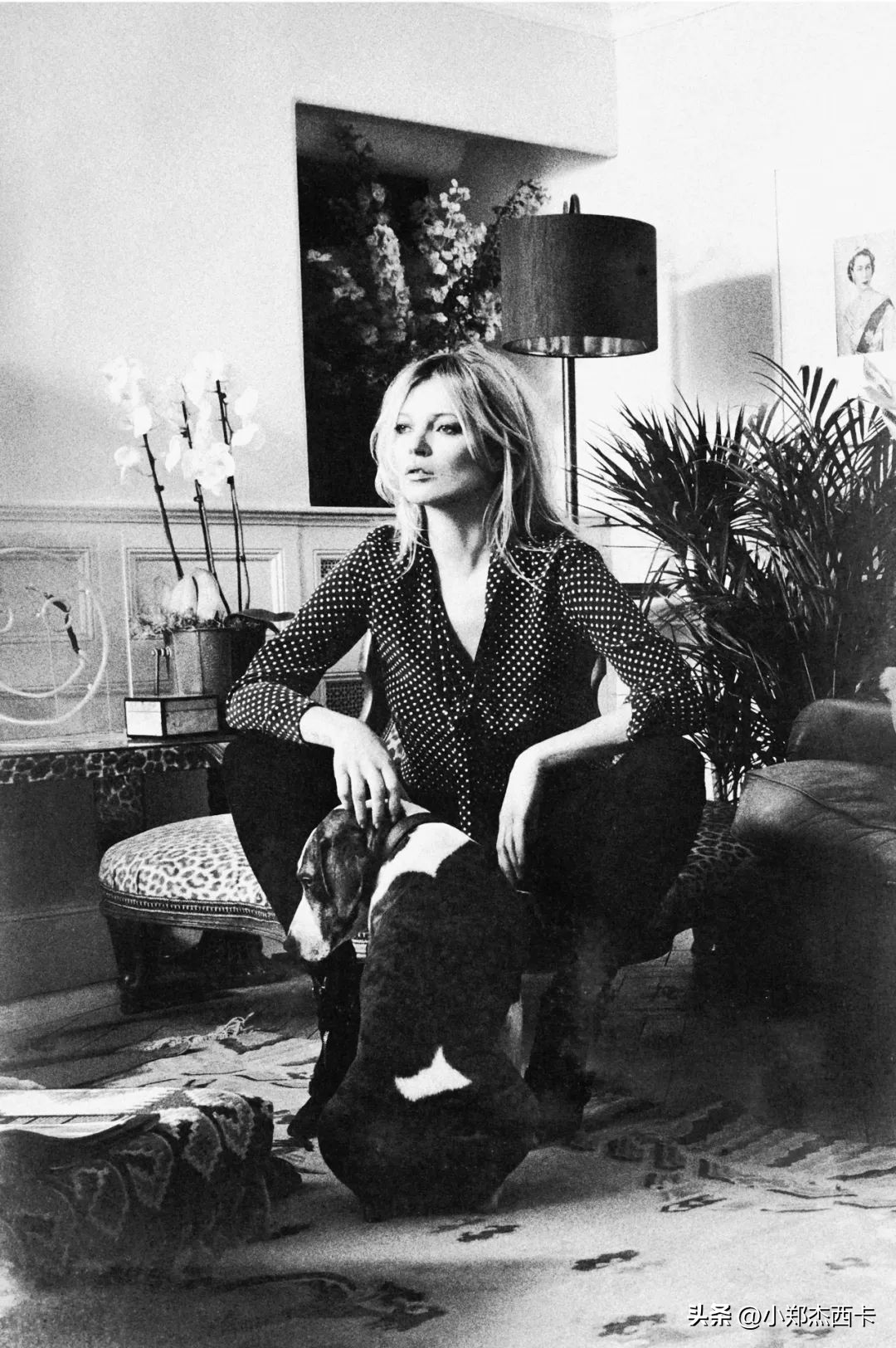 时髦精不得不知道的小众品牌,适合年轻人穿的十个小众品牌