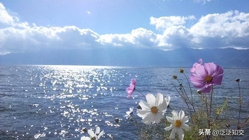 闲看“风花雪月”扰你心，坐听“雪月风花”诉断情