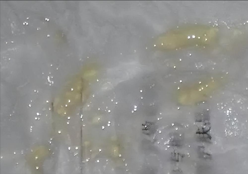 给我三分钟,付医生带你一起读懂你的精液