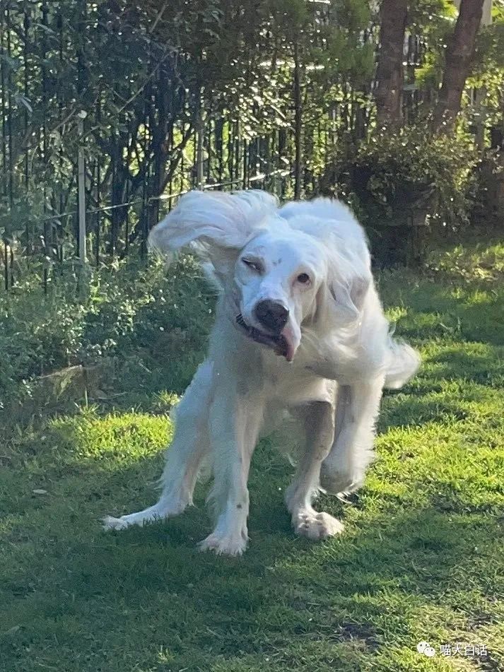 背德文学啥意思,背德文学是什么