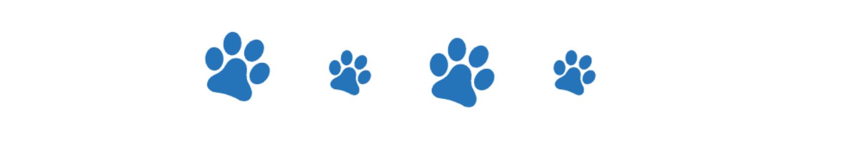 巴哥犬的优点和缺点,巴哥犬的五大优点和缺点