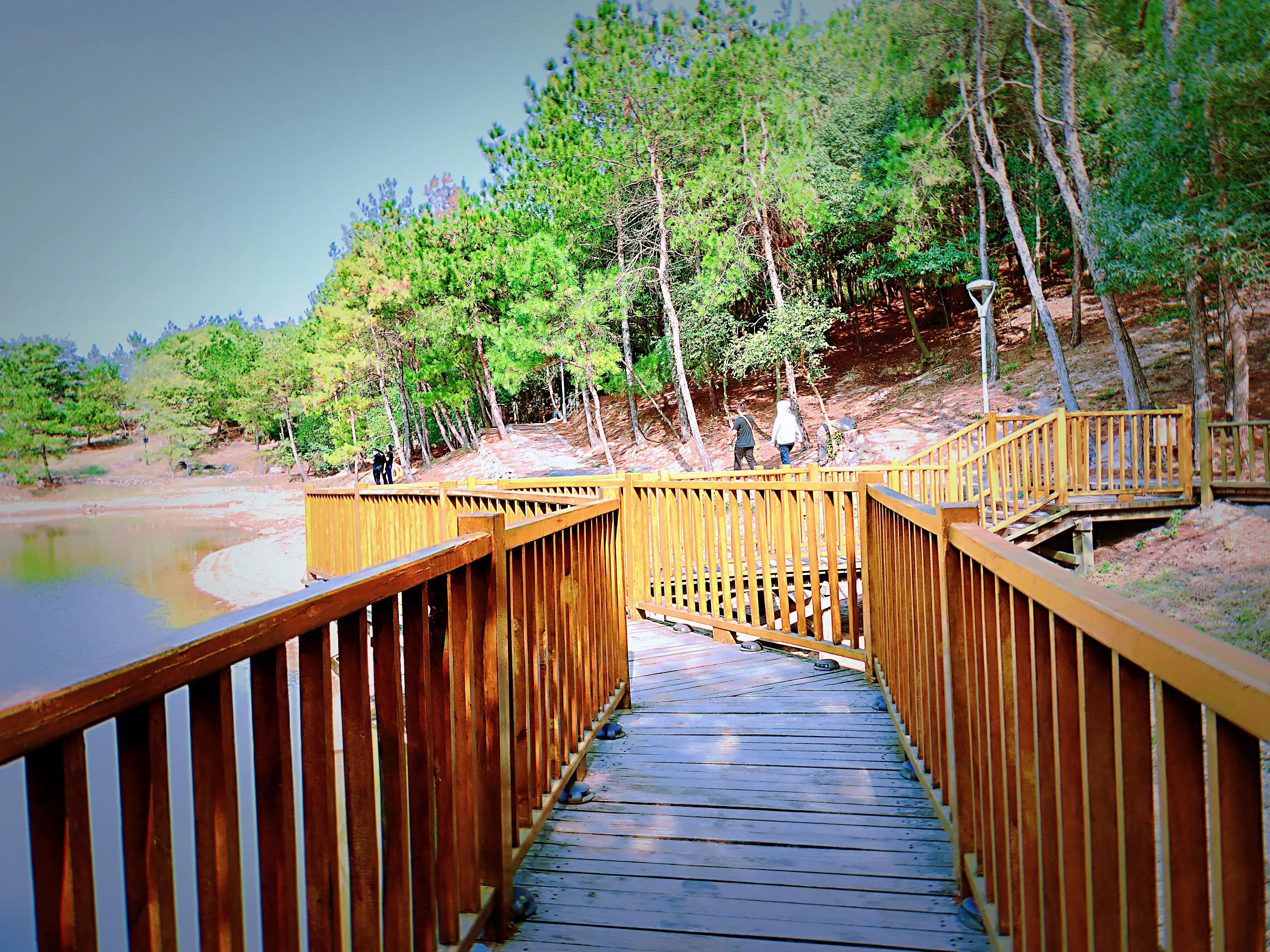 溧水无想山民宿预订,南京溧水无想山露营地点