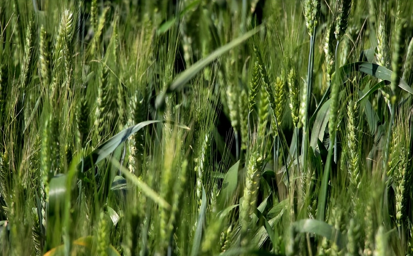 体检·小酌·途中·公园·侄女·其它