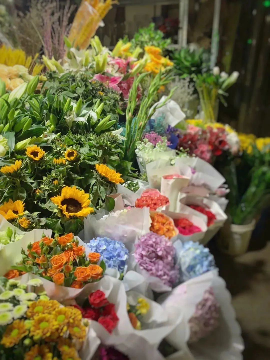 济南春天看花好去处,来济南买金子