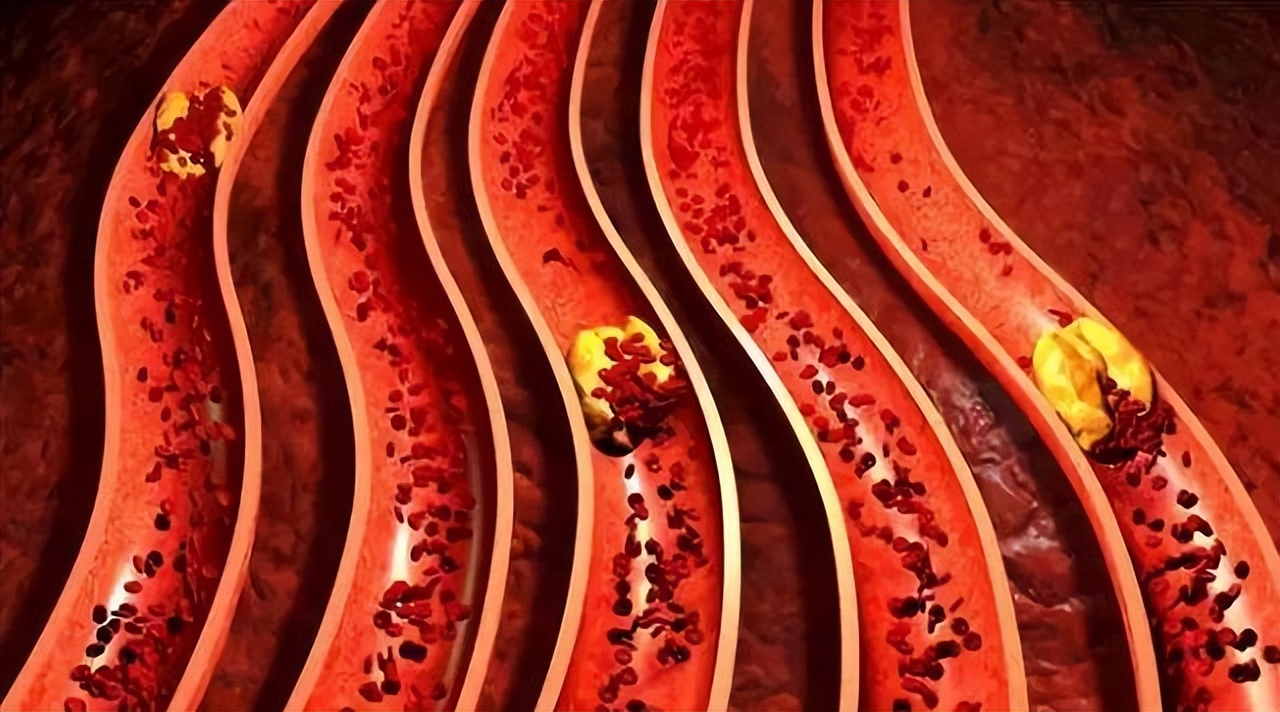 益母草月经期间可以喝吗,益母草月经期间能不能喝