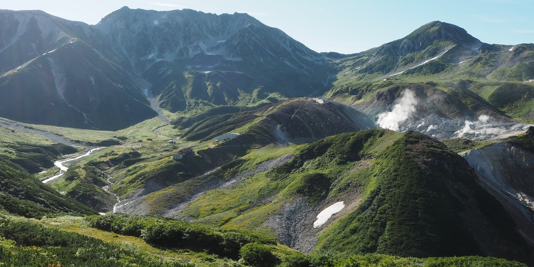 打脸日本农业：农药大国，净收入减半，神化背后到底为啥？