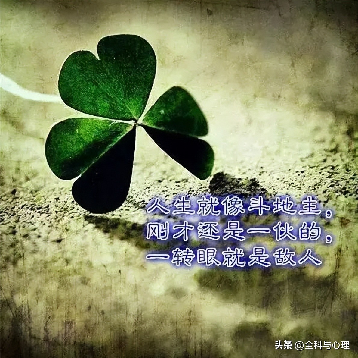 人生哲理感悟经典短句朋友圈,最经典的发朋友圈的感悟人生短句