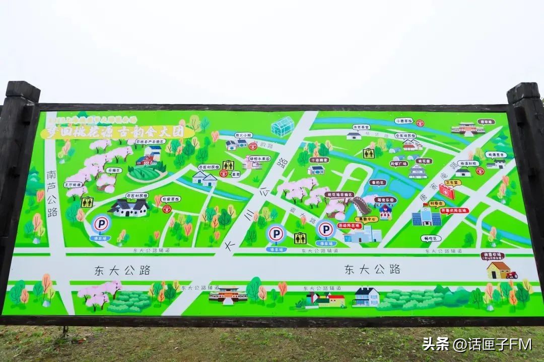 上海桃花节旅游攻略,桃花节推荐去哪里旅游