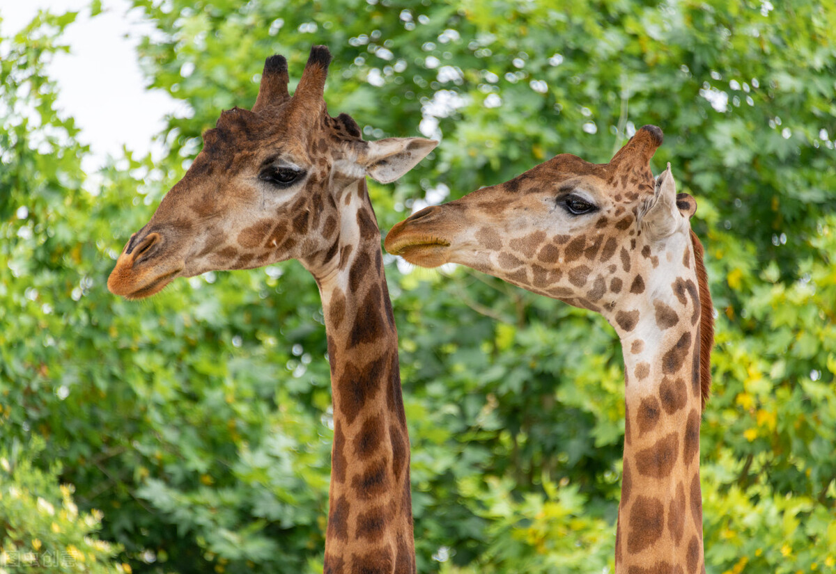 上海100公里左右有哪些旅游景点,上海旅游攻略带孩子必去景点