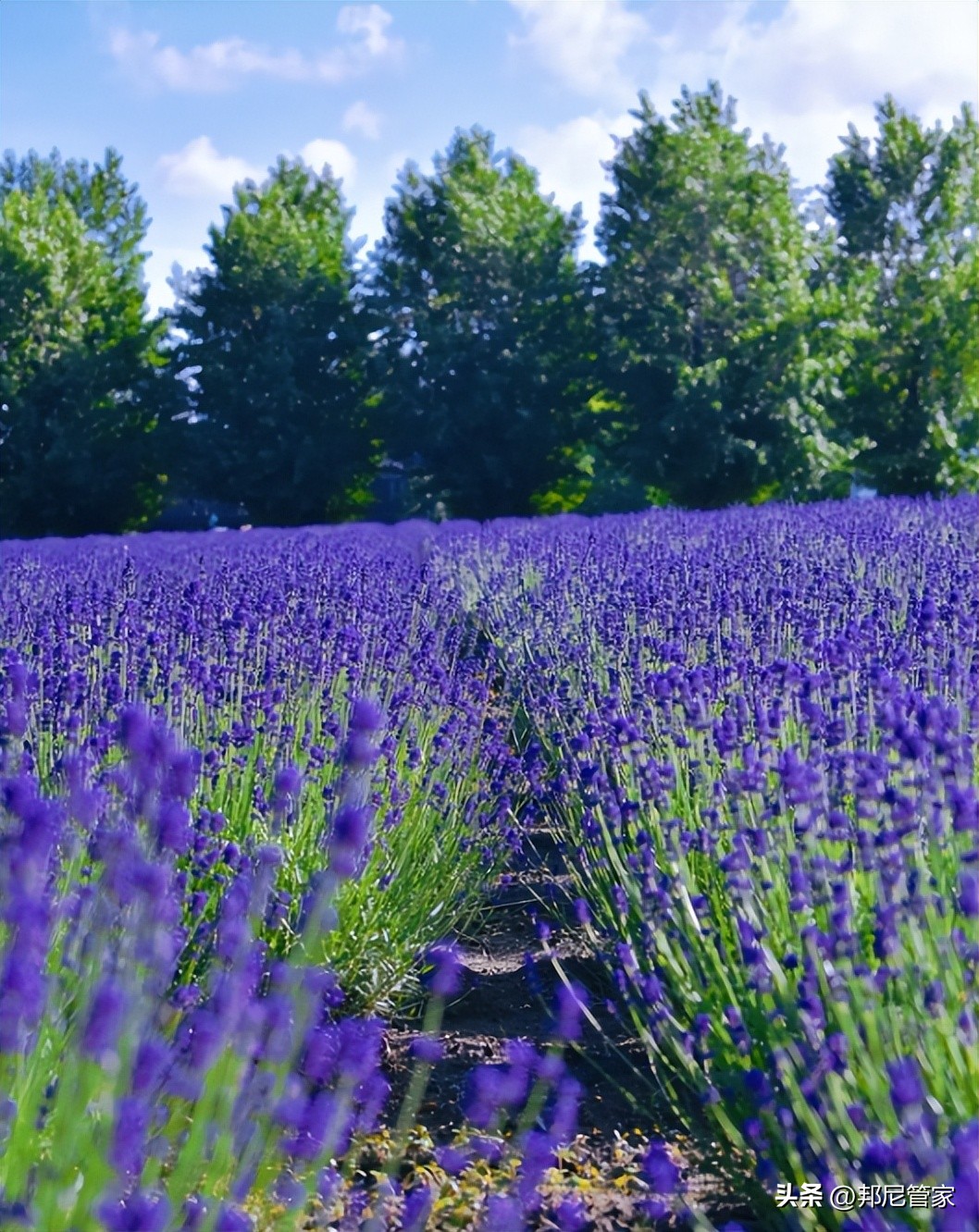 全国干燥又凉快的夏天避暑城市,夏天来了避暑好的地方