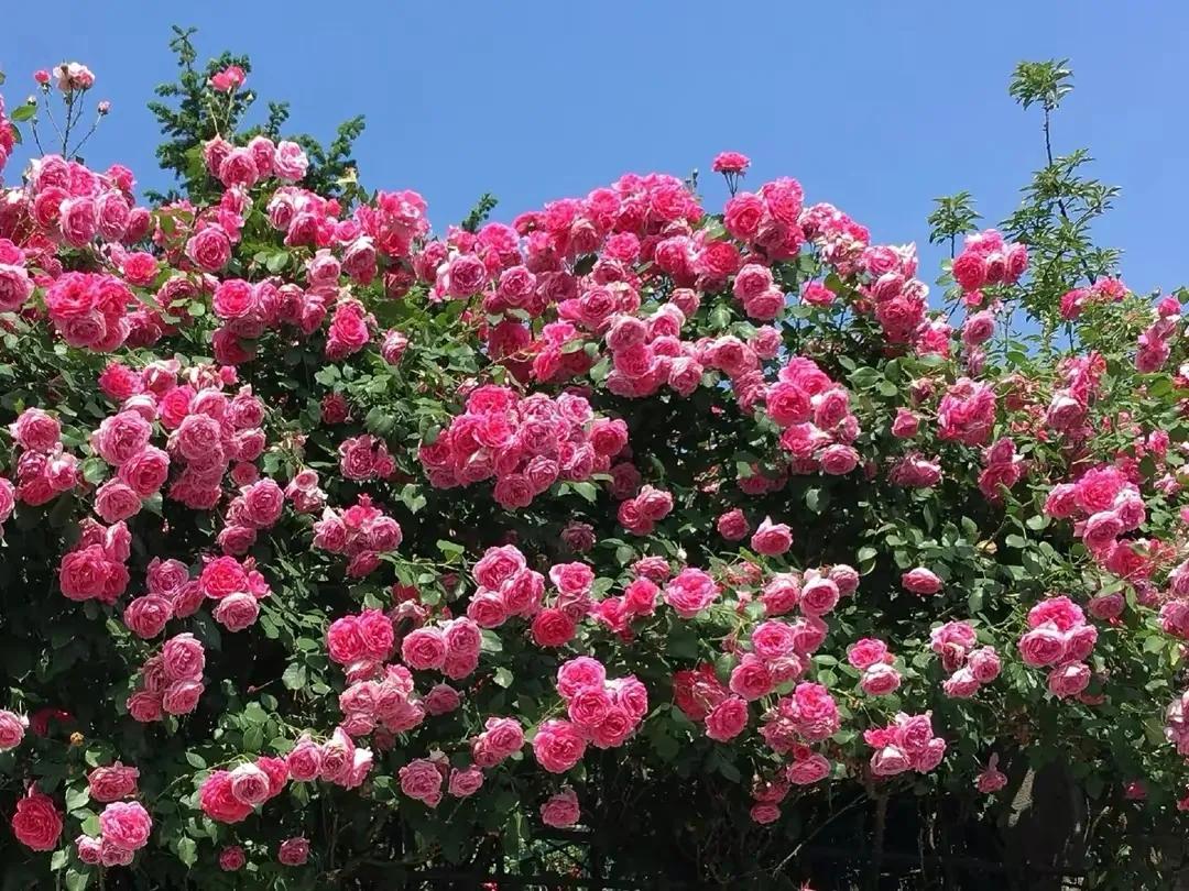 在成长的道路上遇见自己