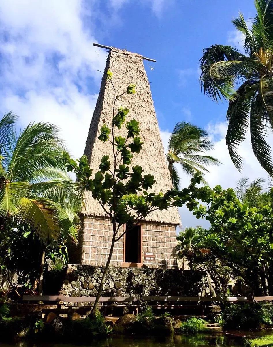 楚门的世界楚门去到斐济了吗,斐济是楚门想去的地方吗