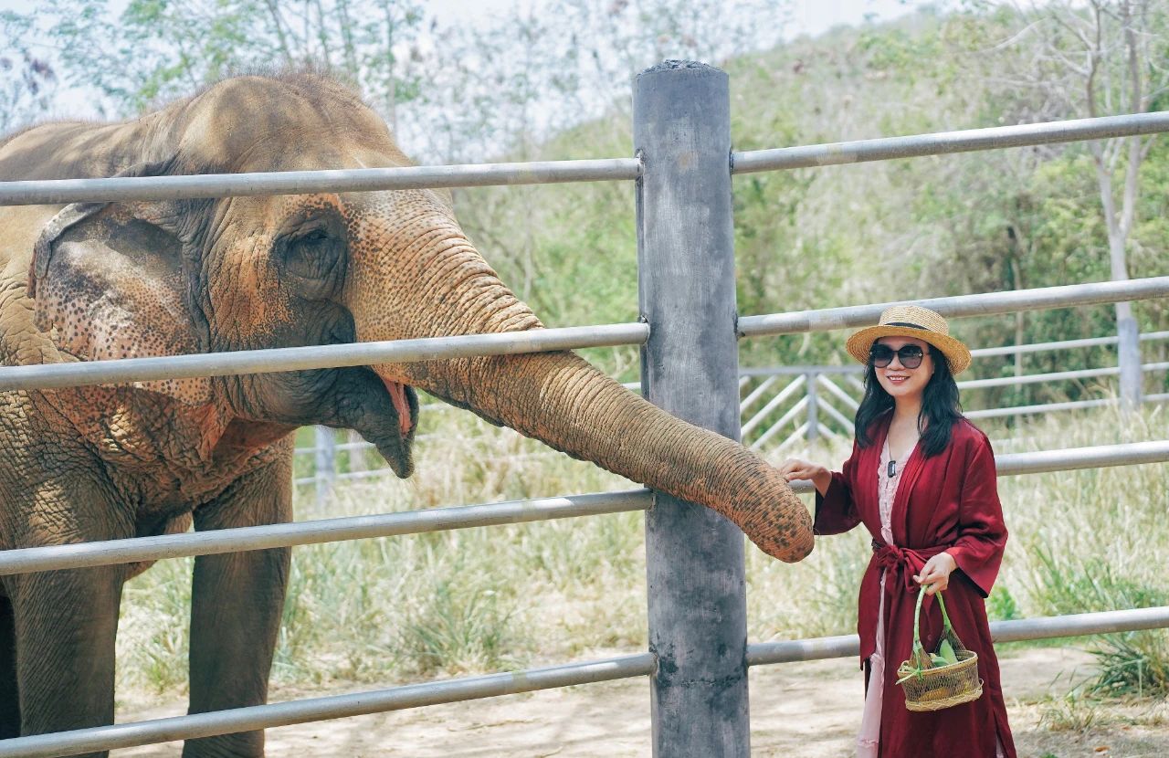 泰国华欣2日游,到泰国华欣旅游