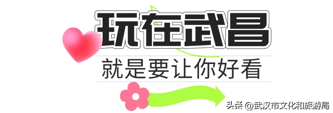 每次去都很「惊艳」的地方是____