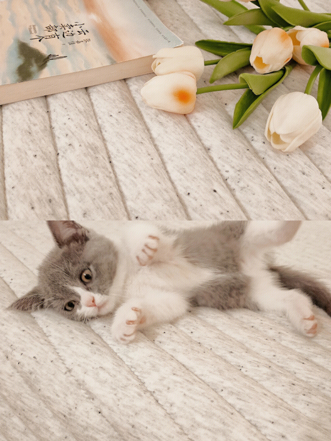 复式公寓镂空设计,镂空公寓设计