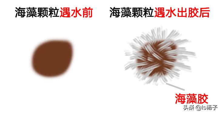 海藻面膜的胶是什么胶？美容院海藻面膜为什么敷一个小时？,内幕