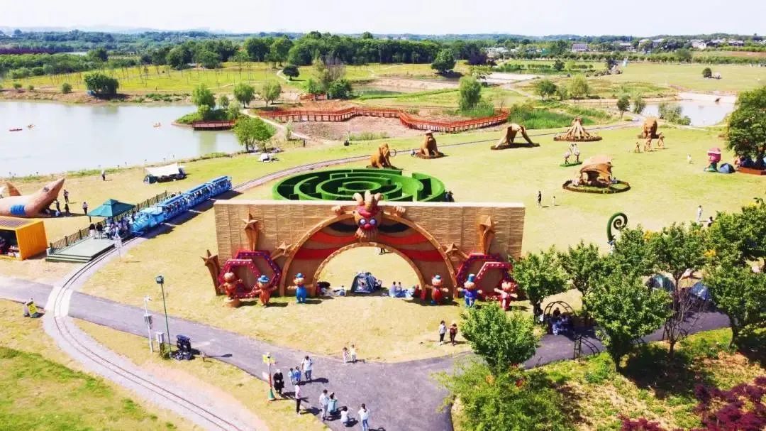 现在去刚好！千亩油画花海等你来采摘