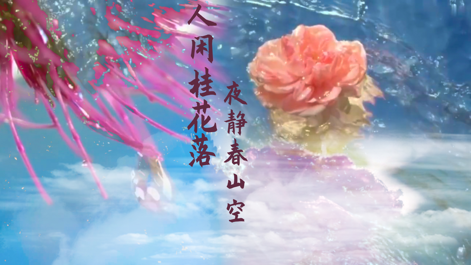 中国诗词大会诗词知识点整理,中国诗词大会积累诗词知识