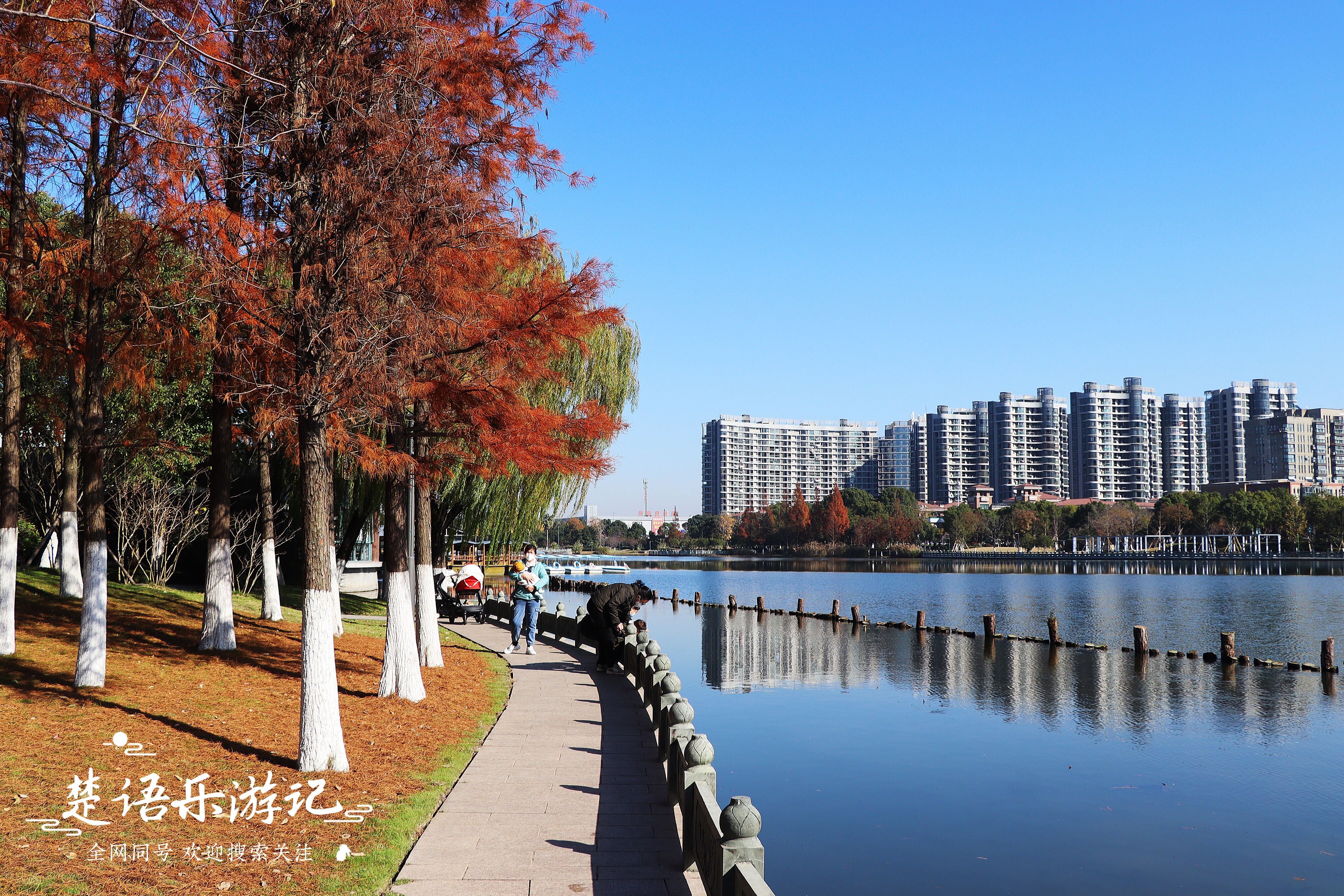 宁波地铁旅游攻略必去景点,宁波地铁直达的旅游景点