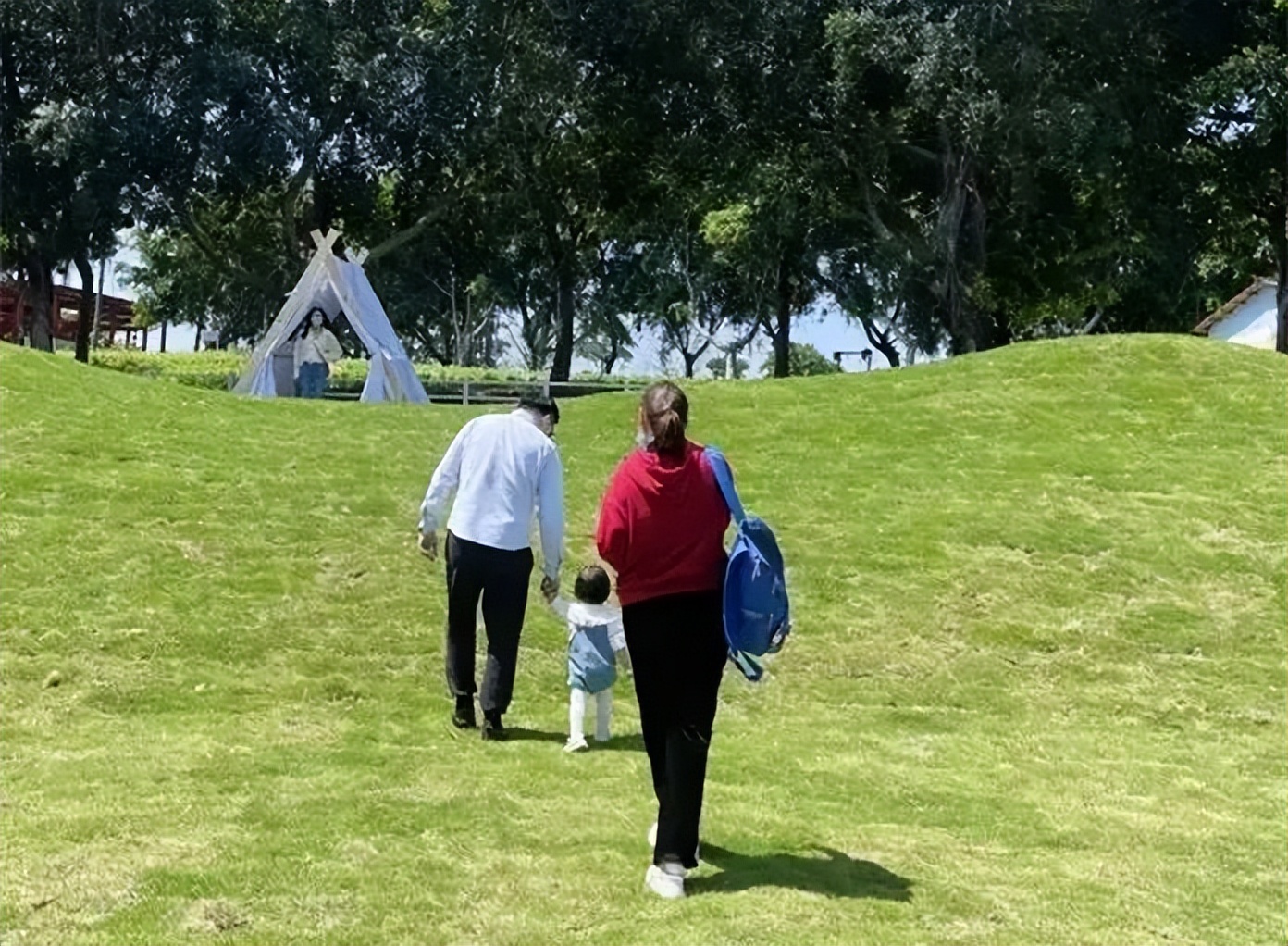 微度假|最美绿水青山线路！被深圳这片乡野田园治愈了