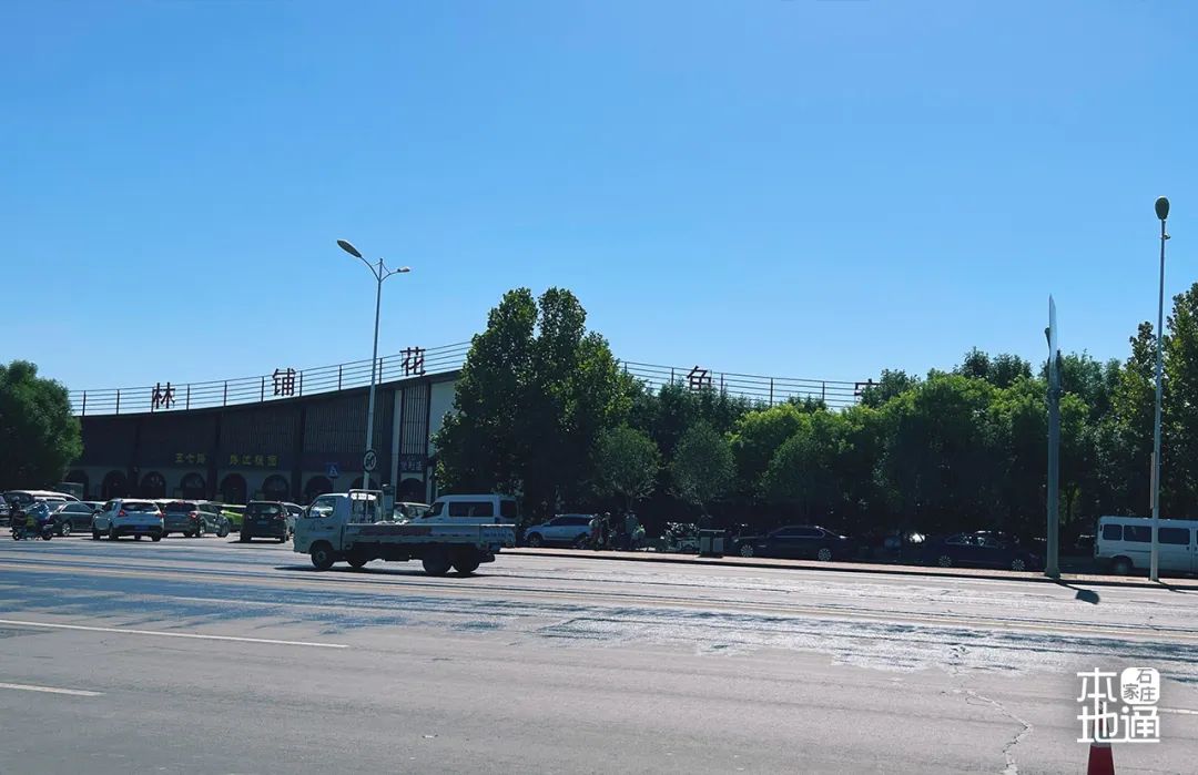 石家庄哪个花卉市场要拆,石家庄最好的花卉市场搬哪里去了