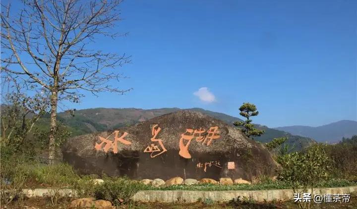 普洱茶十大高端品牌老班章,普洱茶老班章特点价格表