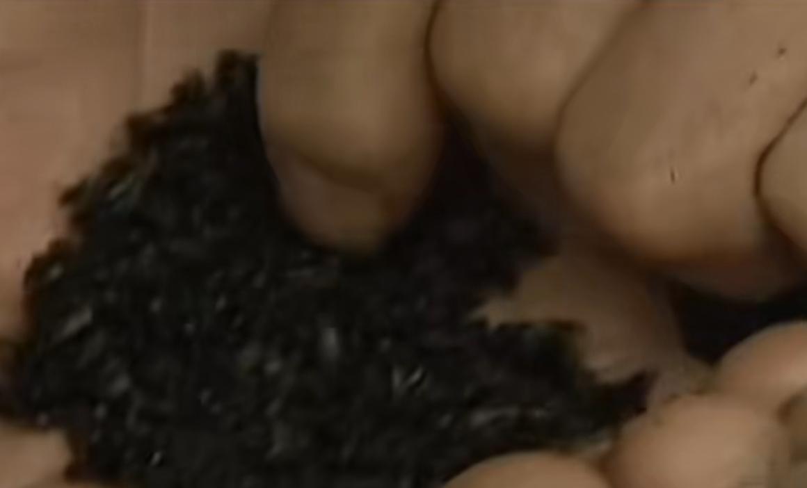 浙江“食蚁村”：人人吃蚂蚁，每天消耗百斤，蚂蚁越吃越多，为啥