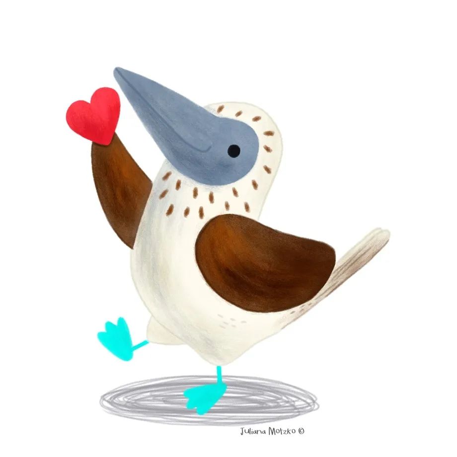 鸟类插画大全,鸟类插画艺术欣赏