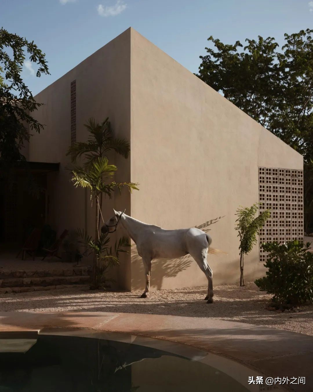 mexico好用吗,mexico风格音乐