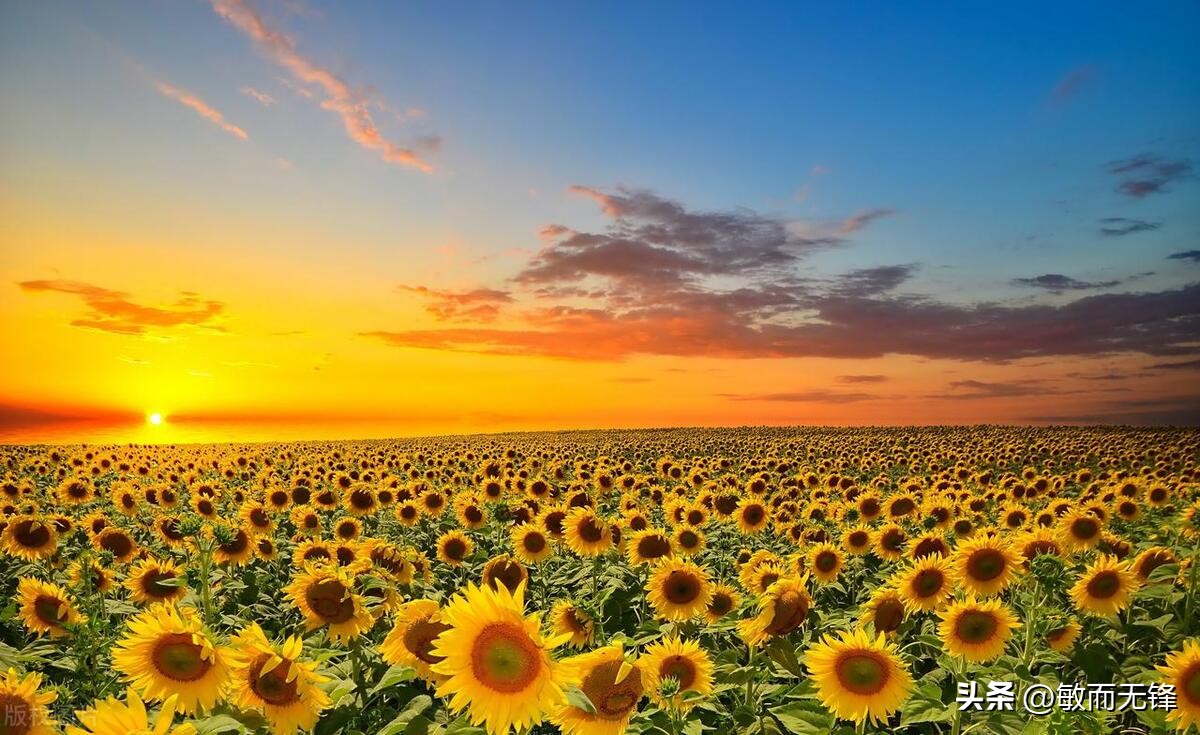 想赚钱就一定要跟着能赚钱的人,赚钱都要懂得生意的规则