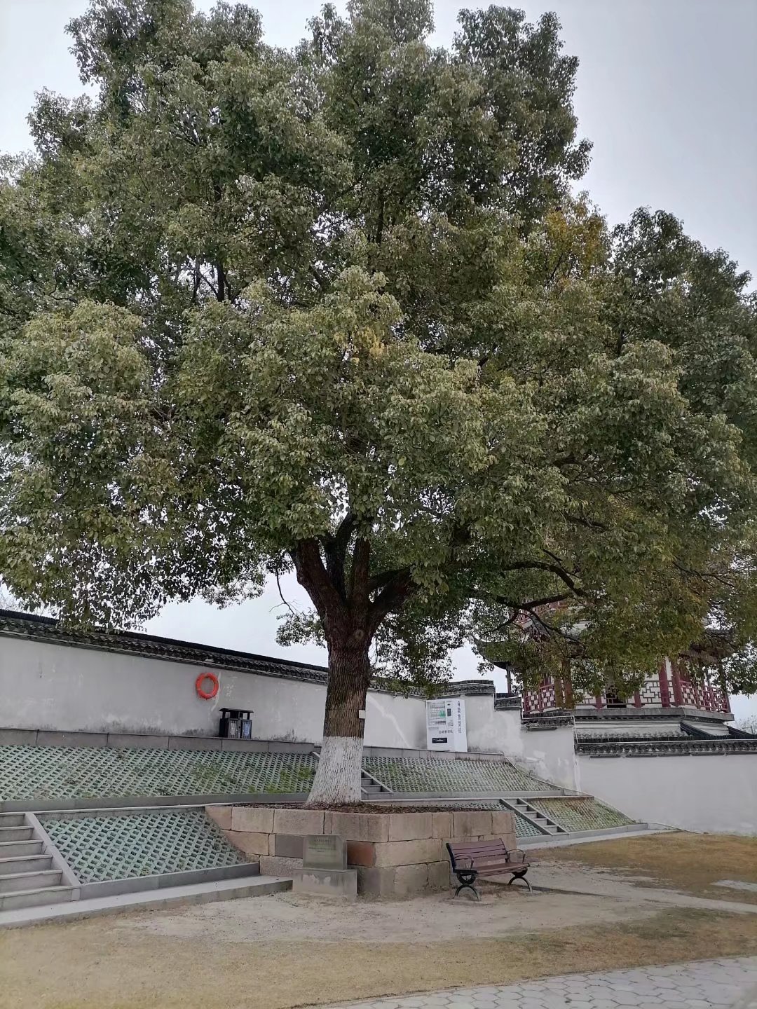 钱塘江潮汛故事,钱塘江神秘事件真实原因