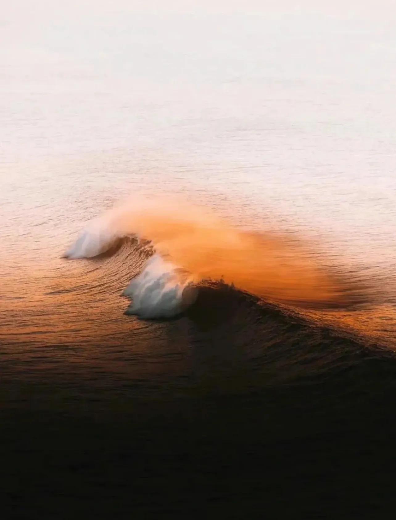 离职了，2023上半程最好的告别