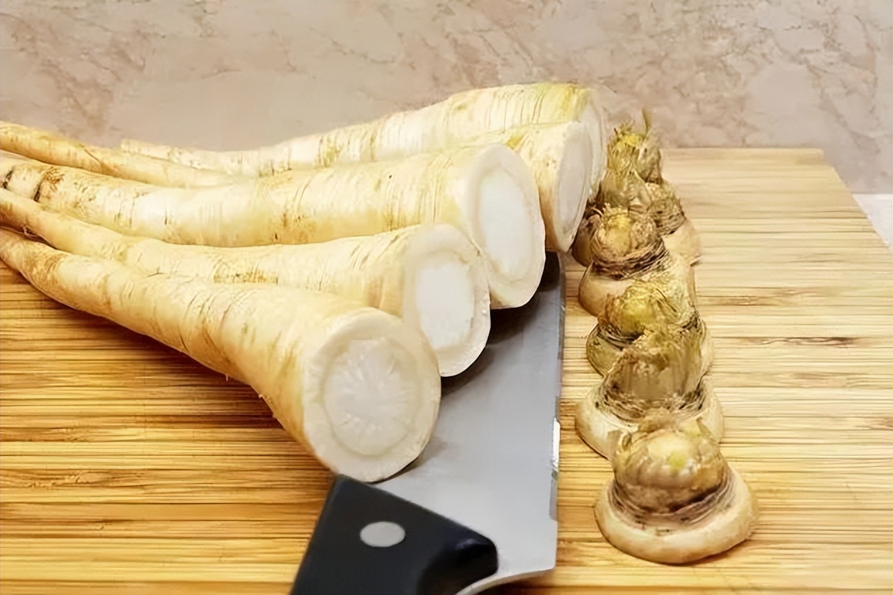 根类食物大全 (5种根菜类的食材)