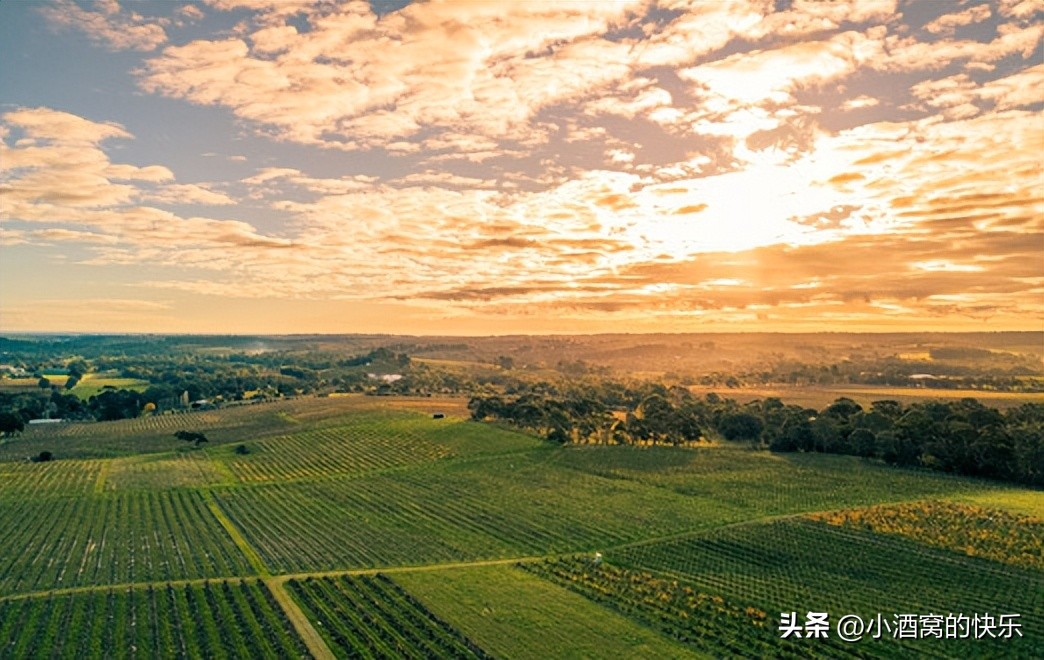 澳大利亚mclaren红酒多少钱,澳大利亚麦克拉伦谷产区