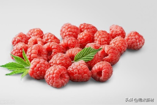 树莓栽培技术和管理,树莓的贮藏方法