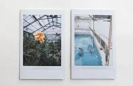 网上照片冲印安全吗,为什么网上冲印照片这么便宜