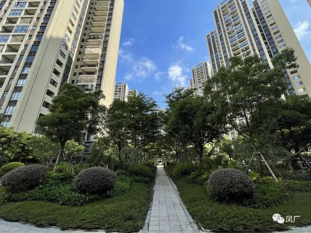 容桂东部：凤凰湾入秋了（多图）